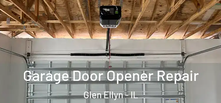  Garage Door Opener Repair Glen Ellyn - IL